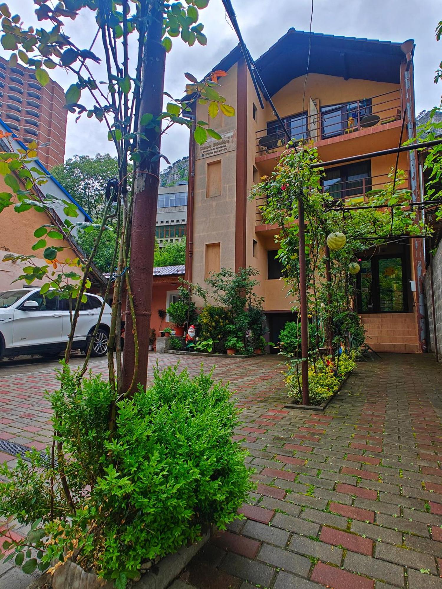 Casa Miclau Appartement Băile Herculane Buitenkant foto