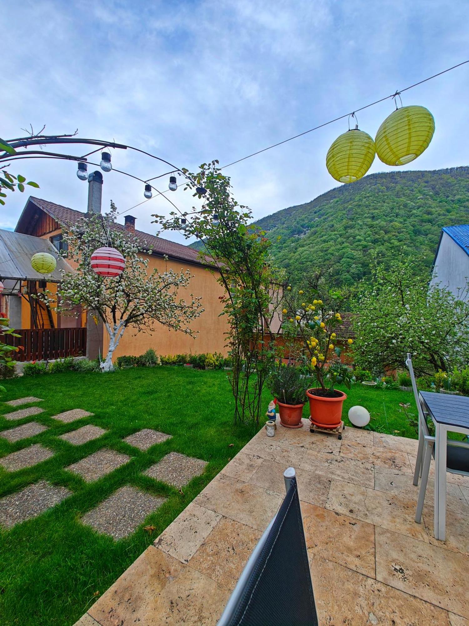Casa Miclau Appartement Băile Herculane Buitenkant foto