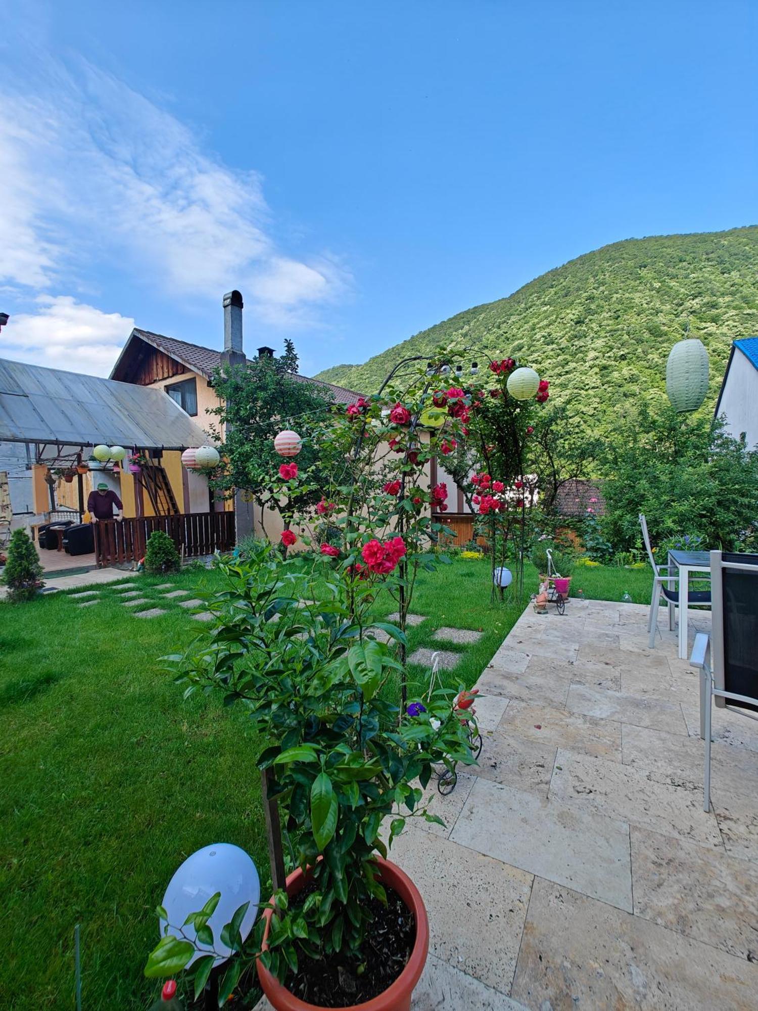 Casa Miclau Appartement Băile Herculane Buitenkant foto