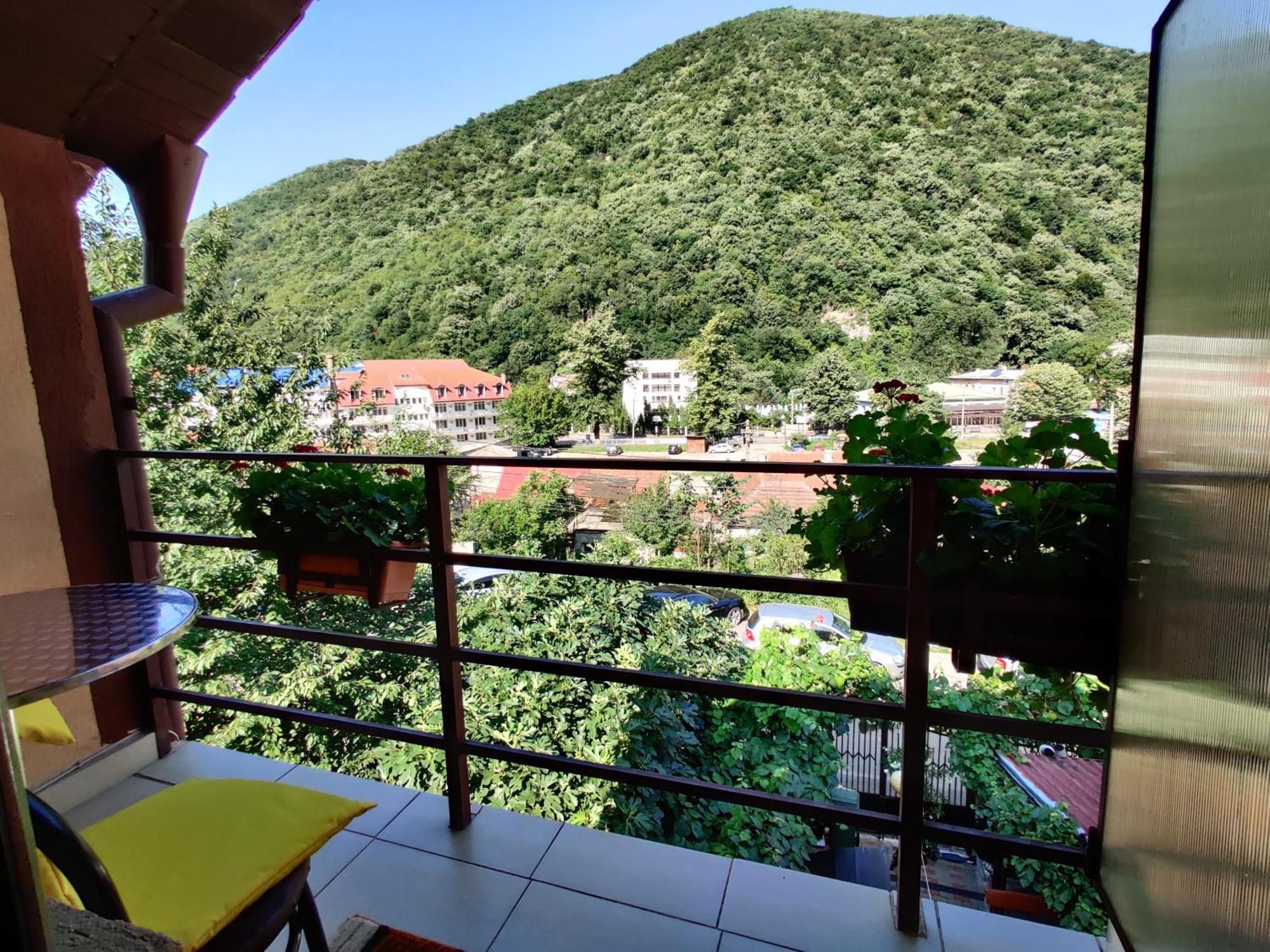 Casa Miclau Appartement Băile Herculane Kamer foto